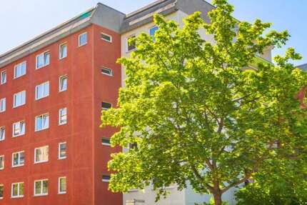 Wohnung Chemnitz Sonnenberg - 4 Zimmer, 80 m&sup2;, 426&euro; | Angebot:27015810