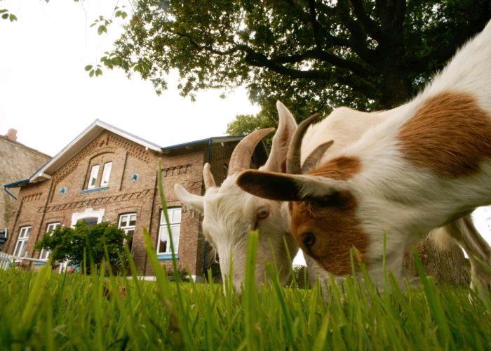 Gemeinsam statt einsam: Senioren-WG Zimmer frei 1 zimmer