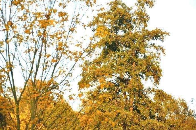 Etagenwohnung Westerngrund - 3 Zimmer, 110 m&sup2;, 850&euro; | Angebot:25679072