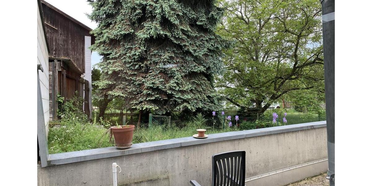 Erdgeschoßwohnung Ingelheim am Rhein - 1.5 Zimmer, 48 m&sup2;, 595&euro; | Angebot:25048159