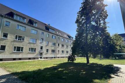 Wohnung zum Mieten in Delitzsch 590 € 81.59 m² 4 zimmer