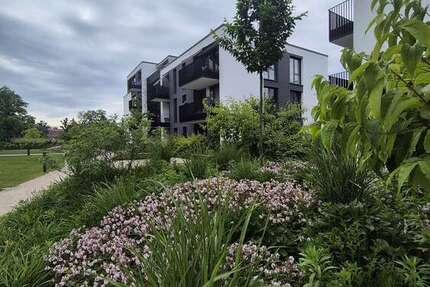 Wohnung zum Mieten in Achern 1.220 € 91 m² 2 zimmer