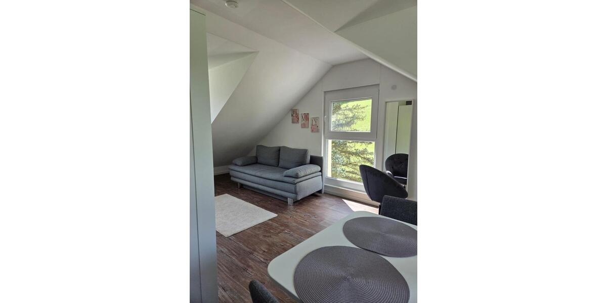 Dachgeschoßwohnung Weinstadt - 1 Zimmer, 47 m&sup2;, 705&euro; | Angebot:25831184