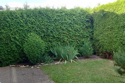 Wohnung Bopfingen - 3.5 Zimmer, 88 m&sup2;, 800&euro; | Angebot:25044491