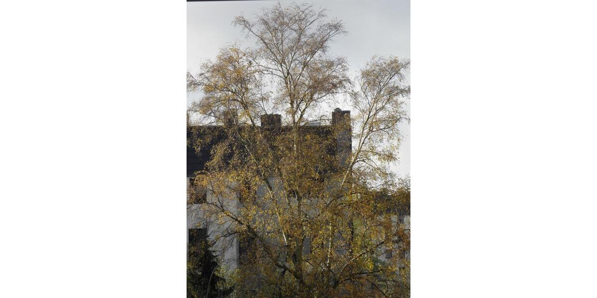 Wohnen auf Zeit Bremerhaven - 2.5 Zimmer, 67 m&sup2;, 1.390&euro; | Angebot:22469108