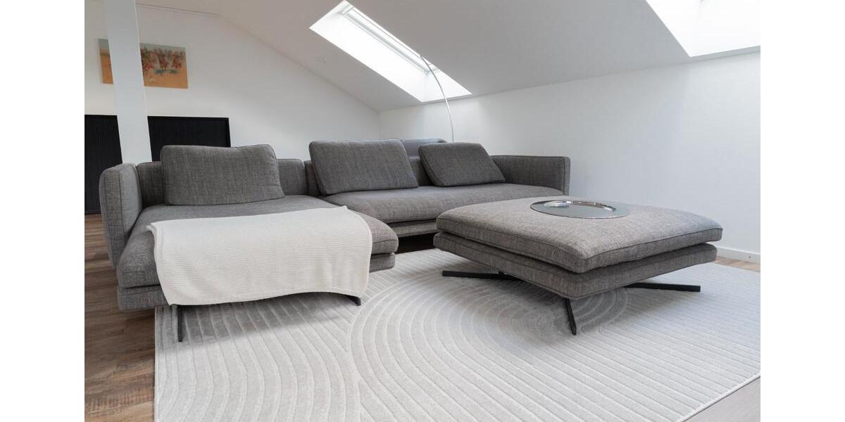 Loft - Studio - Atelier Gottmadingen - 2.5 Zimmer, 86 m&sup2;, 1.750&euro; | Angebot:26044388