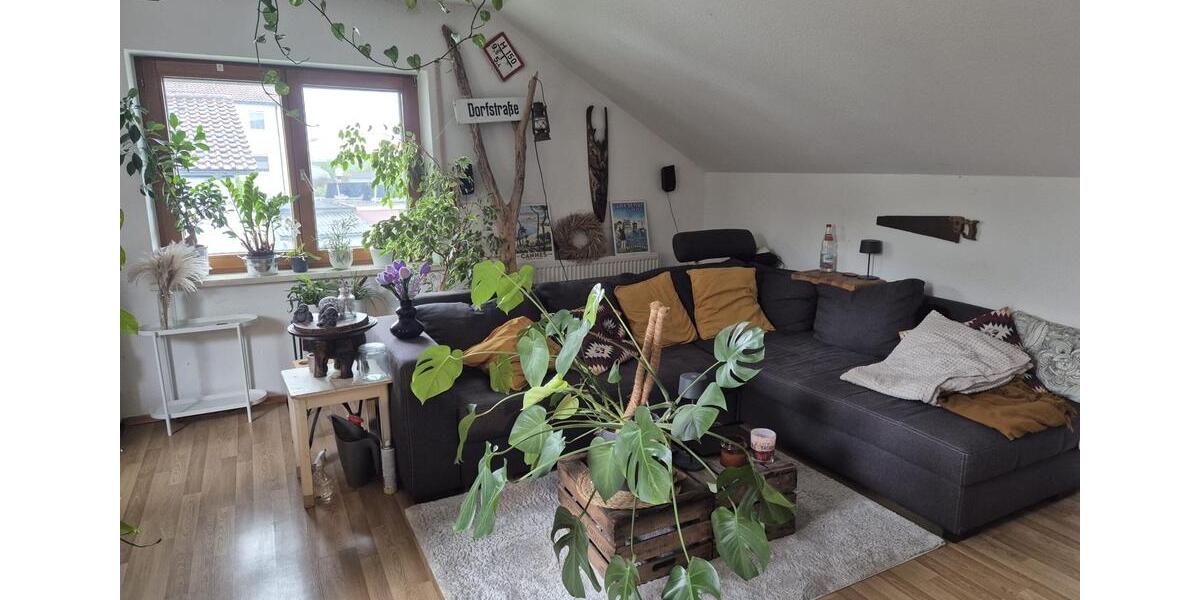 Dachgeschoßwohnung Hochdorf - 3 Zimmer, 70 m&sup2;, 600&euro; | Angebot:24742824