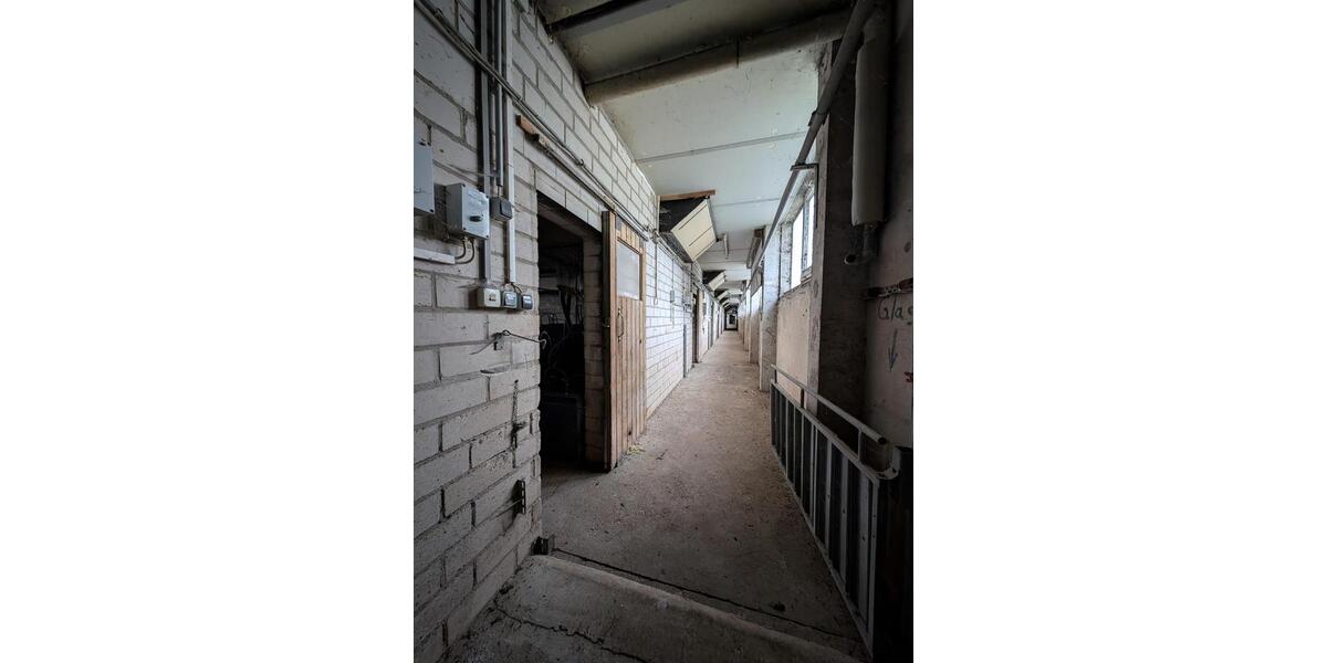 Gewerbeobjekt Jessen (Elster) - 785&euro; | Angebot:24373632