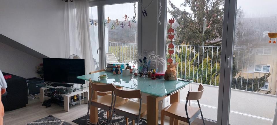 Dachgeschoßwohnung Singen (Hohentwiel) - 3 Zimmer, 70 m&sup2;, 1.050&euro; | Angebot:26489759
