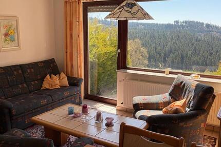 Wohnen auf Zeit Medebach - 2 Zimmer, 40 m&sup2;, 690&euro; | Angebot:26268313