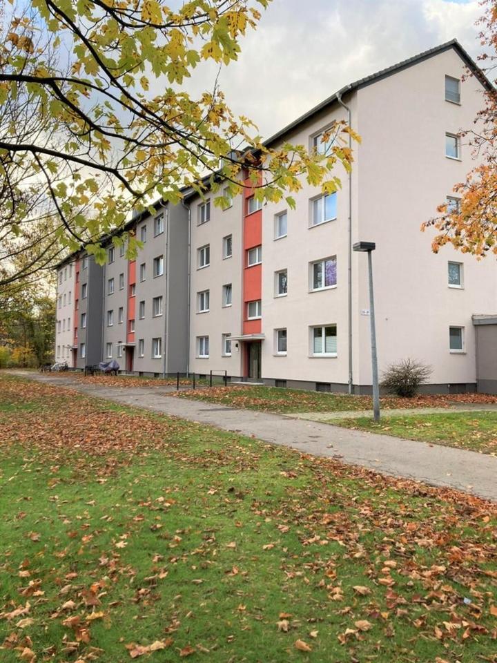 Demnächst frei! 2-Zimmer-Wohnung in Marl Hüls zimmer