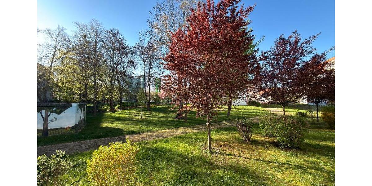 Etagenwohnung Bernburg (Saale) - 2 Zimmer, 45 m&sup2;, 360&euro; | Angebot:26279318