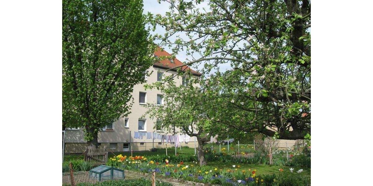 Etagenwohnung Schkeuditz Altscherbitz - 3 Zimmer, 54 m&sup2;, 486&euro; | Angebot:25862350