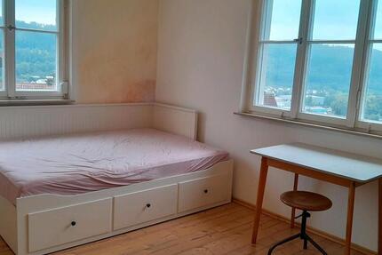 2 Zimmer in Wohnung mit Charme, Garten und einzigartiger Aussicht 2 zimmer