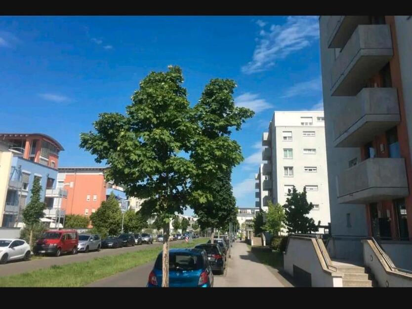 3 Zimmer-Wohnung