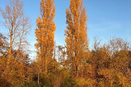 Geräumige und helle 3-Zimmer-Wohnung 3 zimmer