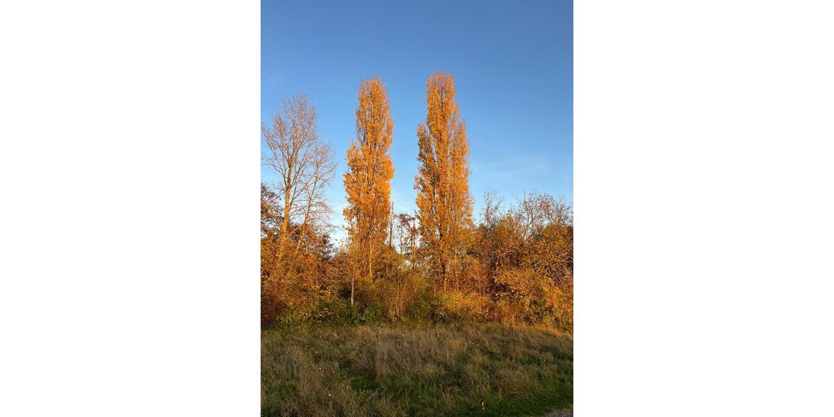 Geräumige und helle 3-Zimmer-Wohnung 3 zimmer