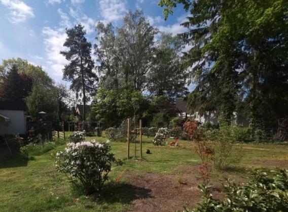 Erdgeschoßwohnung Schwarmstedt - 2 Zimmer, 43 m&sup2;, 485&euro; | Angebot:25401786