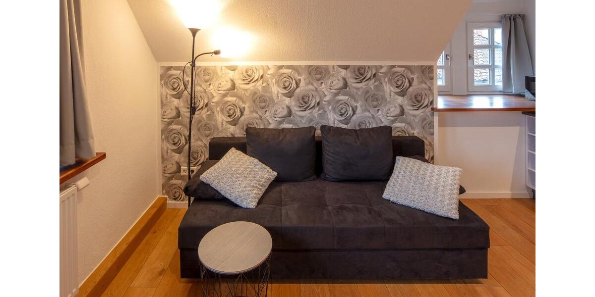 Wohnen auf Zeit Göttingen Roringen - 2 Zimmer, 30 m&sup2;, 70&euro; | Angebot:25266942