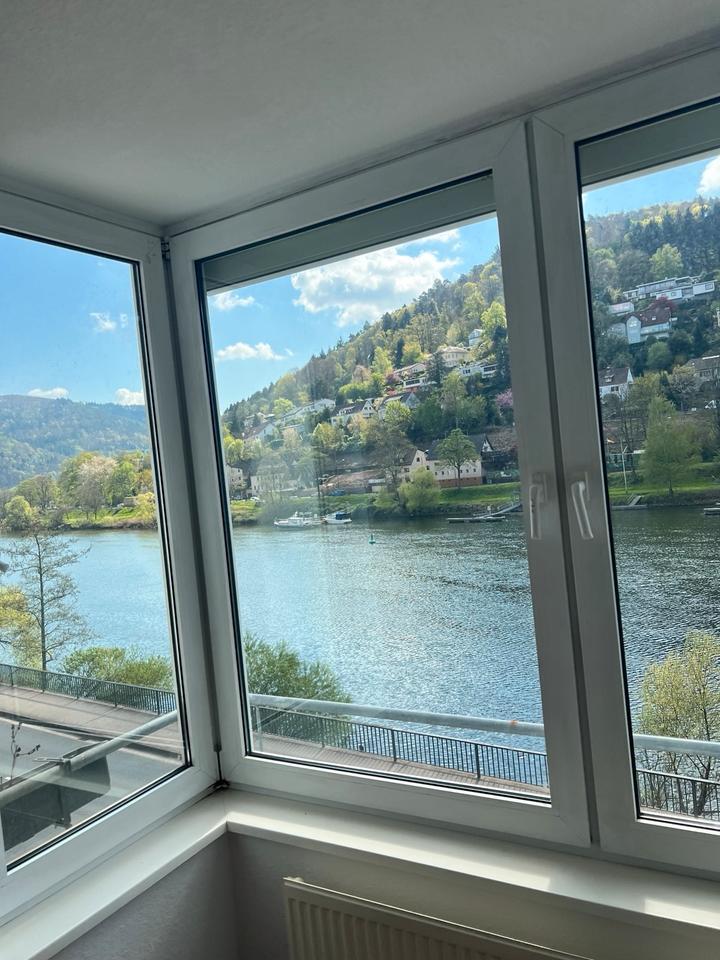 EinZimmerwohnung mit Neckarblick in Ziegelhausen