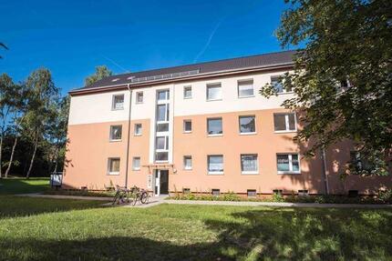 Ansprechendes, günstiges 1,5-Zimmer-Single-Appartment 1.5 zimmer