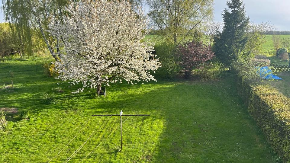 Reihenhaus Rehna - 6 Zimmer, 105 m&sup2;, 990&euro; | Angebot:26526994