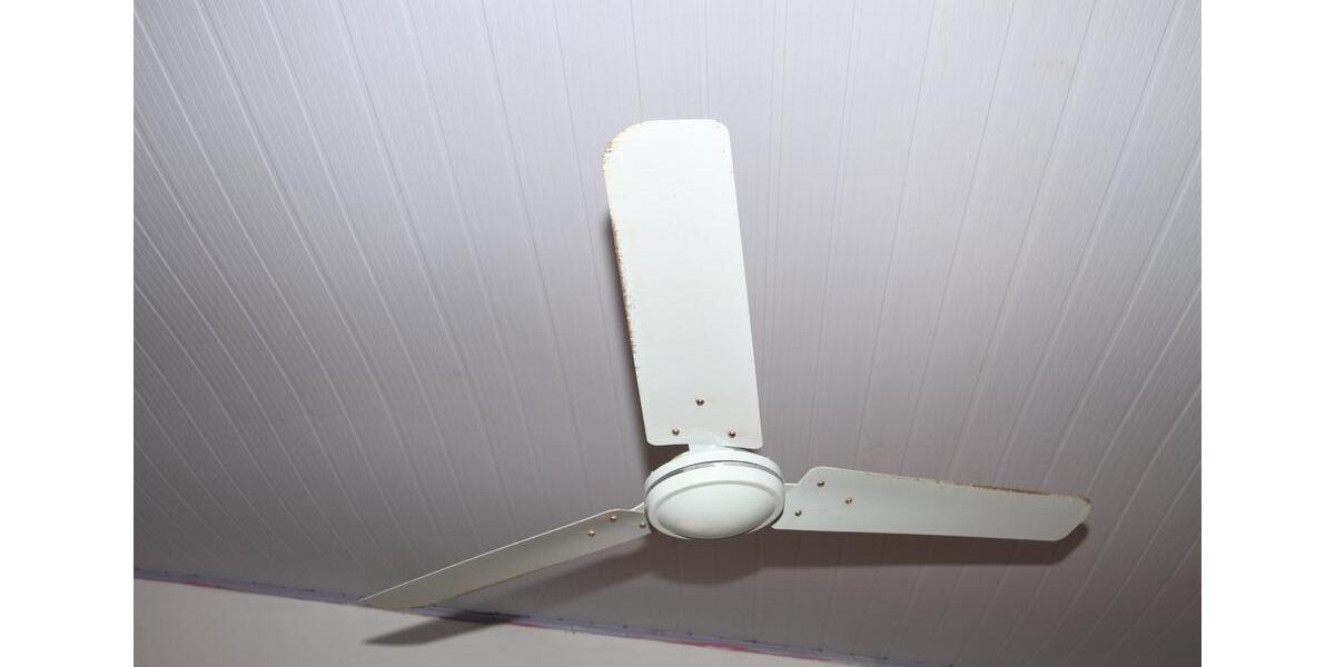 Paraguay, Mbocayaty (Guairá): Haus 3 Zimmer Küche Bad, viele Bäum 3 zimmer