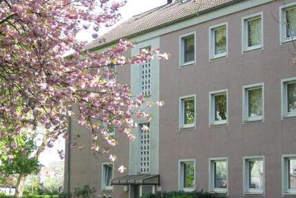 Wohnung Gelsenkirchen Rotthausen - 2 Zimmer, 41 m&sup2;, 310&euro; | Angebot:27200454