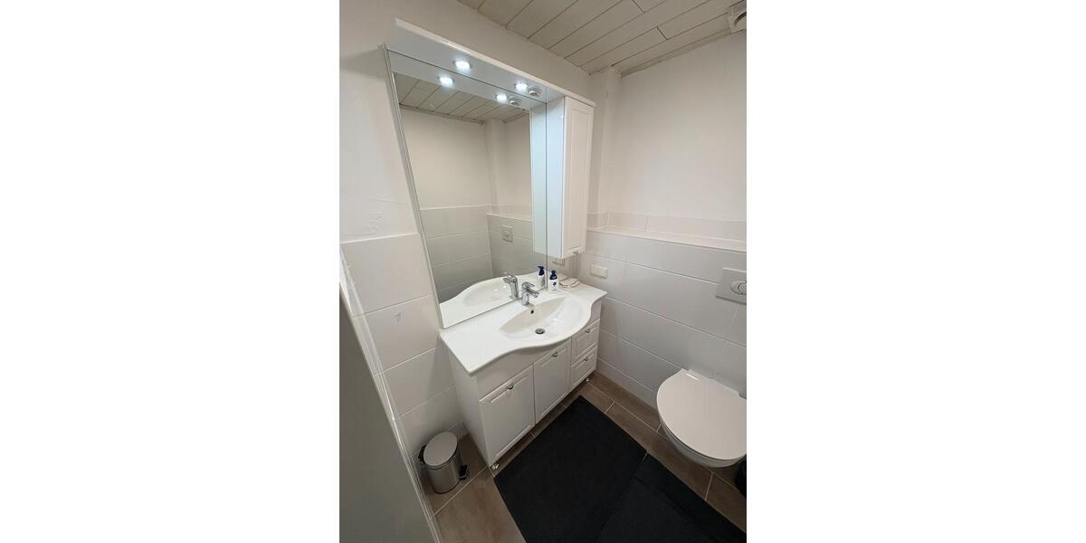 Gewerbehalle + 2 Wohnungen zimmer