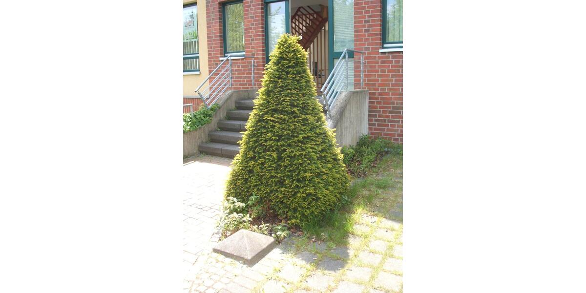 Gewerbeobjekt Nettetal - 1.285&euro; | Angebot:25541191