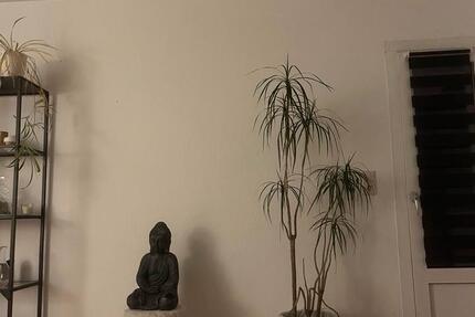 Wohnung Flensburg Altstadt - 1 Zimmer, 13 m&sup2;, 400&euro; | Angebot:25205002