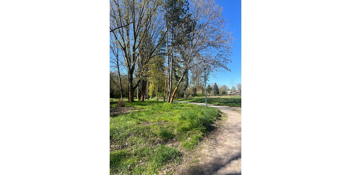 Etagenwohnung Glauchau - 2 Zimmer, 51 m&sup2;, 400&euro; | Angebot:26512370