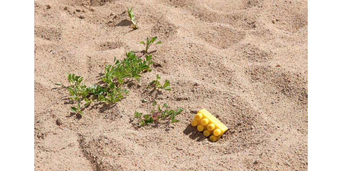 HELLE DREIRAUMWOHNUNG - FÜR FAMILIEN GEEIGNET 3 zimmer