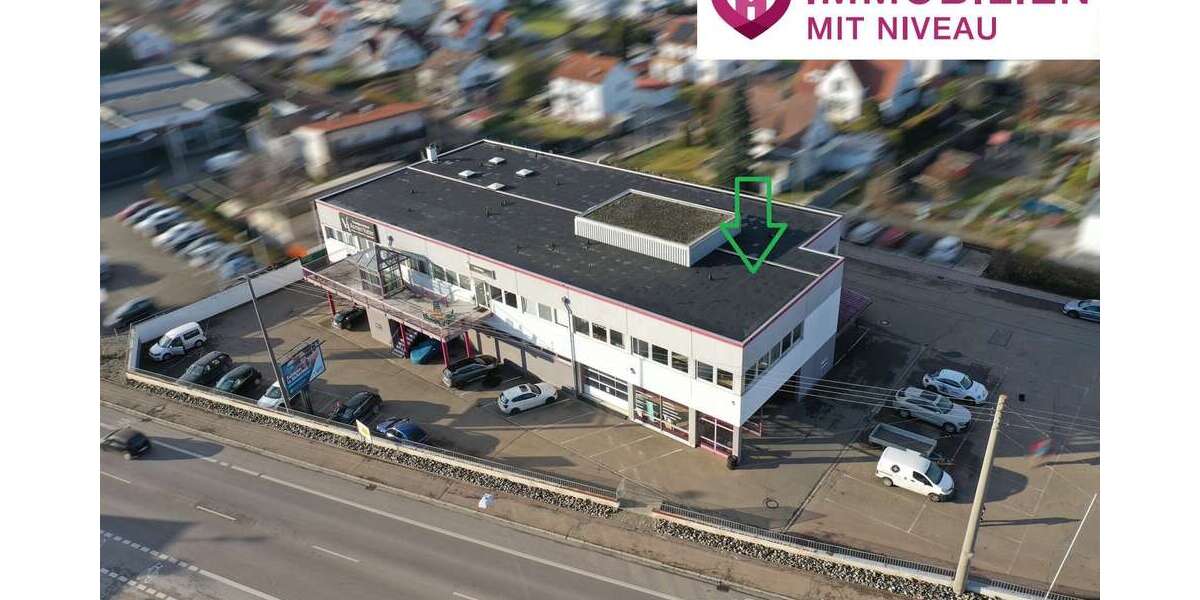 Gewerbeobjekt Lauingen - 1.300&euro; | Angebot:24100608