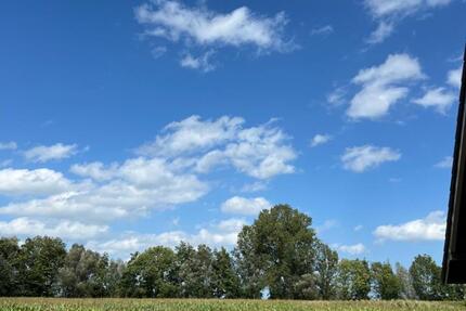 Wohnen auf Zeit Bedburg-Hau Hau - 4 Zimmer, 250&euro; | Angebot:17726023