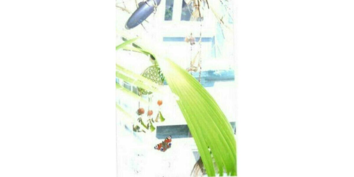 Einfamilienhaus Hessisch Lichtenau - 9 Zimmer, 110 m&sup2;, 950&euro; | Angebot:12321038