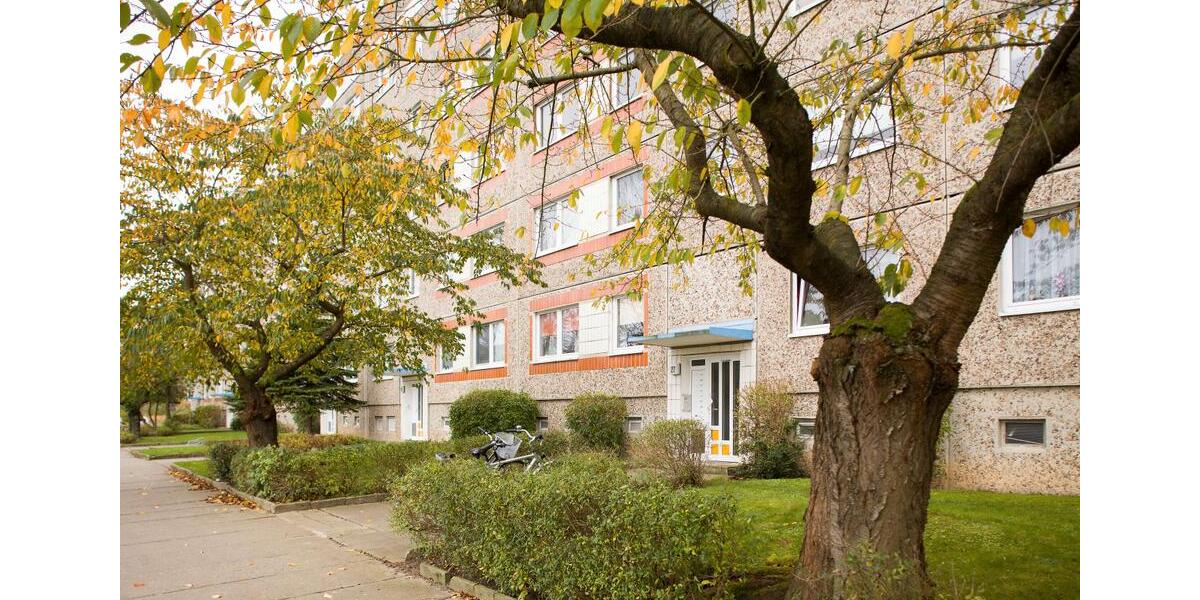 Etagenwohnung Neubrandenburg Datzeberg - 3 Zimmer, 63 m&sup2;, 313&euro; | Angebot:26349721
