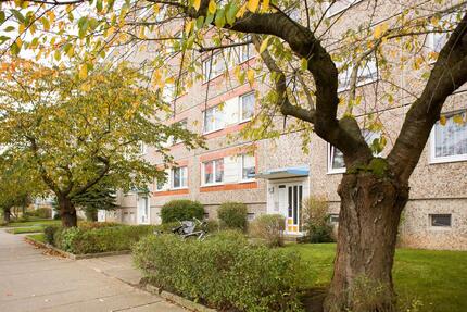 Wohnung Neubrandenburg Datzeberg - 3 Zimmer, 63 m&sup2;, 313&euro; | Angebot:26349721