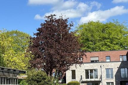 Wohnung Nortorf - 3 Zimmer, 106 m&sup2;, 1.485&euro; | Angebot:25265201