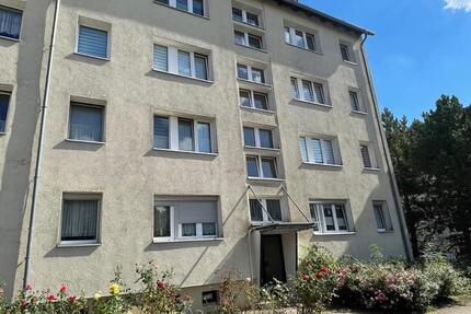 Wohnung Gommern - 3 Zimmer, 58 m&sup2;, 318&euro; | Angebot:24520981