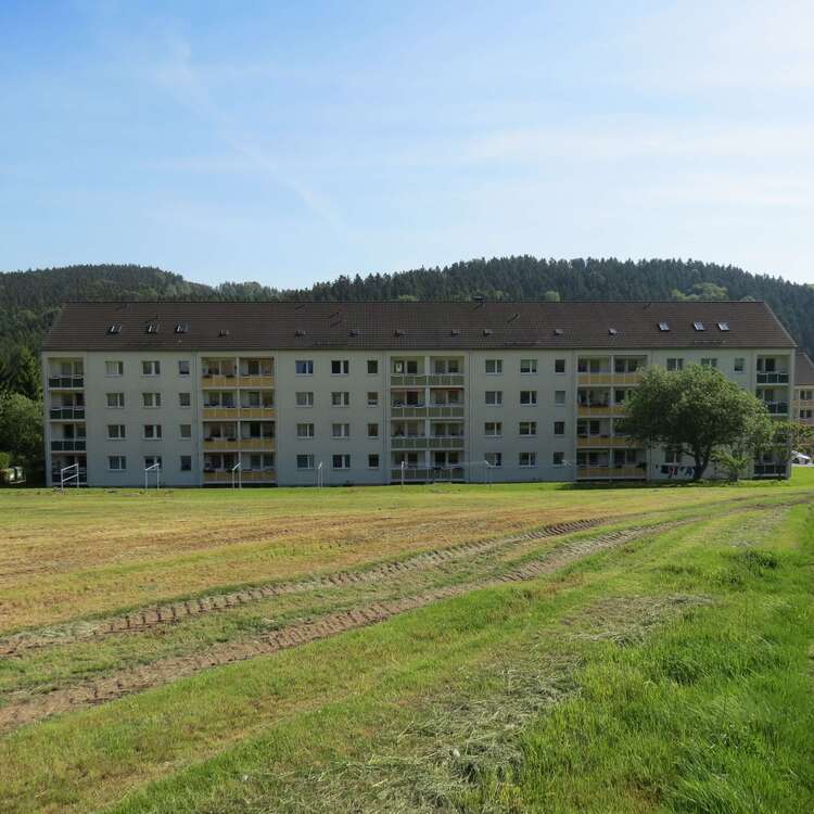 Wohnung zum Mieten in Auerbach 158 € 35 m²