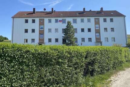 Wohnung zum Mieten in Niederstriegis 199 € 48.7 m² 2 zimmer