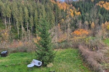 Wohnung Friedrichroda - 3 Zimmer, 86 m&sup2;, 620&euro; | Angebot:24690277