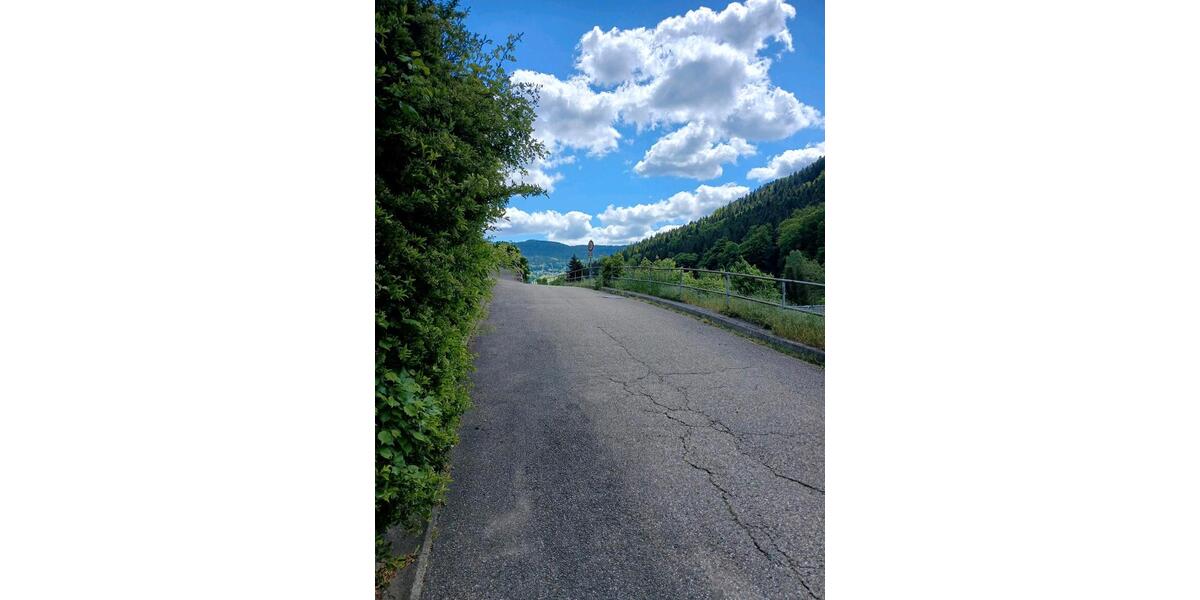 Hochparterre Bad Herrenalb - 1 Zimmer, 45 m&sup2;, 670&euro; | Angebot:25948387