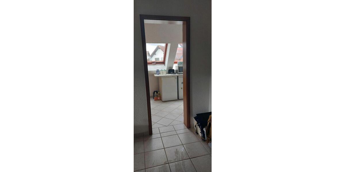 Dachgeschoßwohnung Cottbus Sachsendorf - 1 Zimmer, 36 m&sup2;, 420&euro; | Angebot:24455312