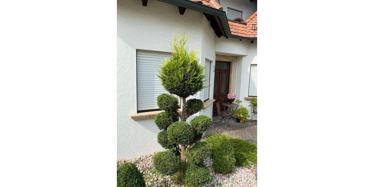 Dachgeschoßwohnung Bamberg Bamberg-Ost - 1 Zimmer, 35 m&sup2;, 640&euro; | Angebot:24350813