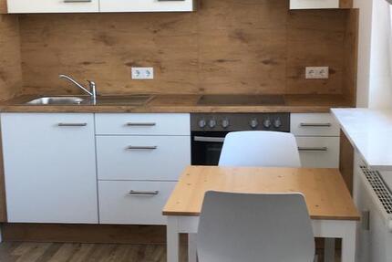 Schöne 1- Zimmerwohnung für Einzelperson möbliert ab April 2026 1 zimmer