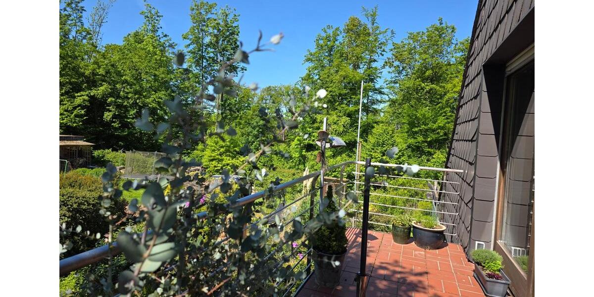 Dachgeschoßwohnung Detmold - 2 Zimmer, 73 m&sup2;, 690&euro; | Angebot:26045541