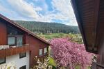 Dachgeschoßwohnung Bad Teinach-Zavelstein Zavelstein - 1 Zimmer, 30 m&sup2;, 395&euro; | Angebot:26611917