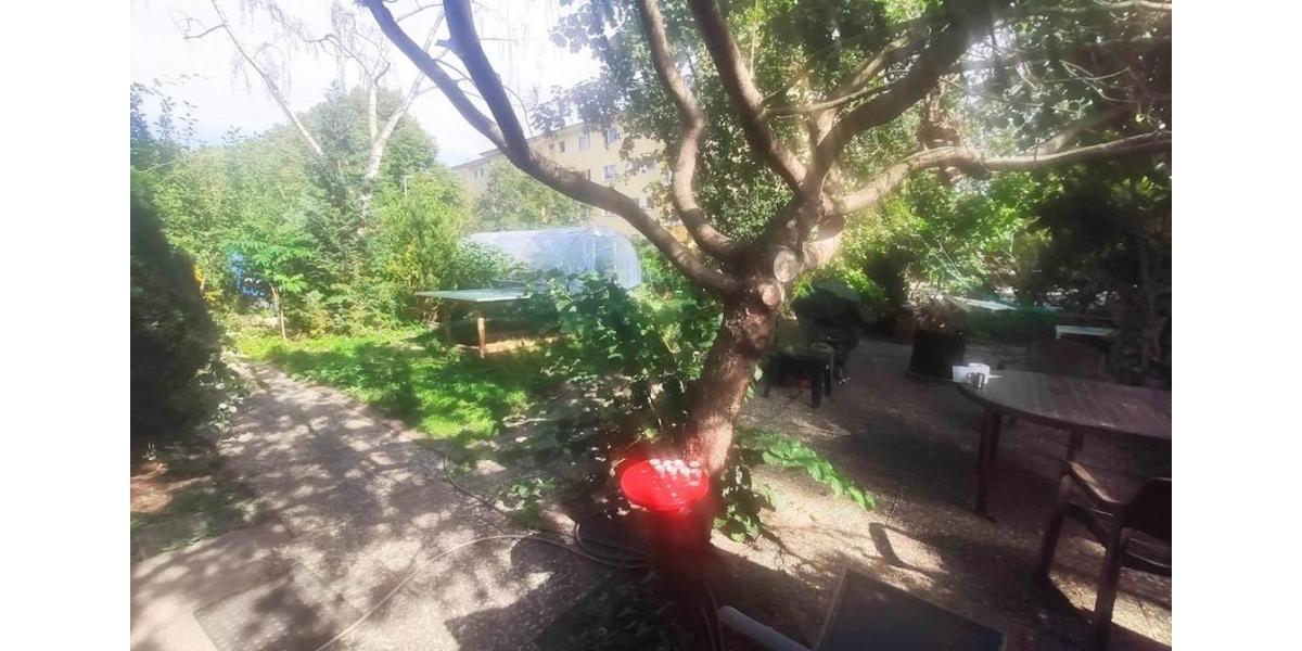 Erdgeschoßwohnung Berlin Mitte - 2 Zimmer, 56 m&sup2;, 450&euro; | Angebot:26169995